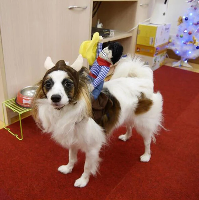 MPK-12-Years-Qima-Dog-Costume-Novelty-Funny-Halloween-Pet-Dog-Costume-Large-Dog-Clothes (1)