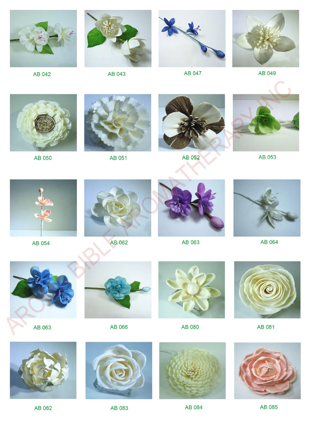 sola flower group 3.jpg