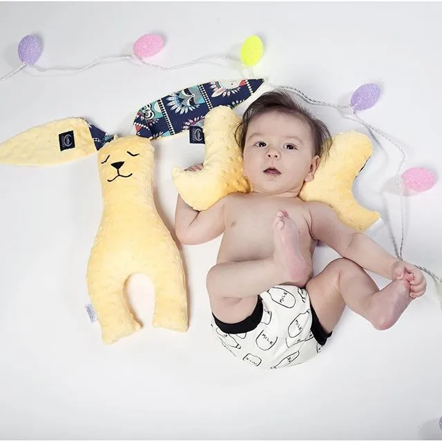 1171611_231376347213628_1707062346_n