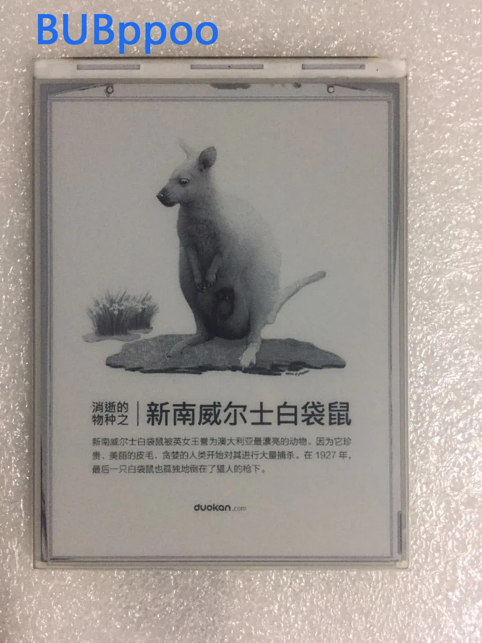 

A+ LCD Display E-ink Screen repair part For Amazon Ebook Kindle 4 ED060SCF T1 (LF) C1 compatible