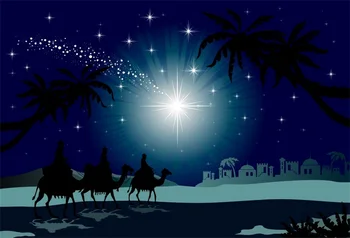 

Laeacco Palm Tree Stars People Dsign Photography Backgrounds Vinyl Digital Customized Photographic Backdrops For Photo Studio