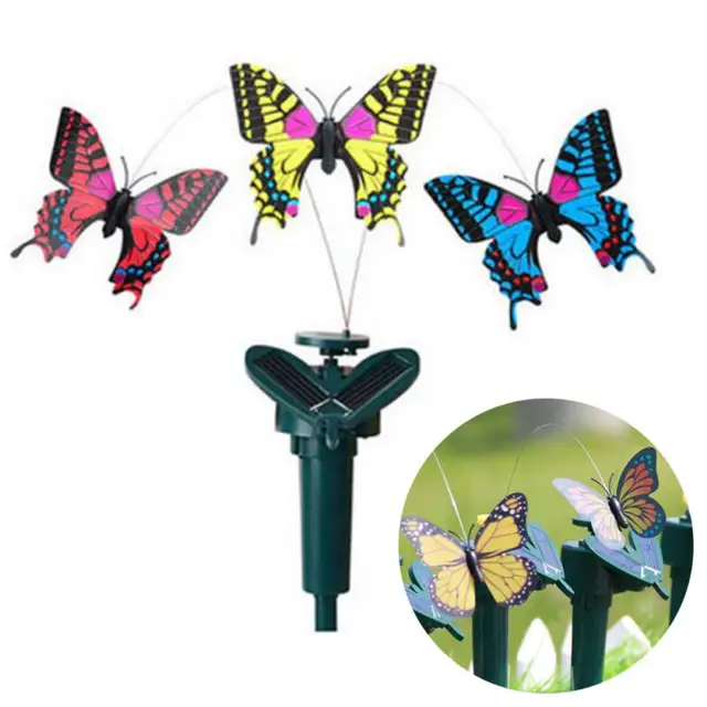Nuova Vibrazione di Energia solare Ballando Volare Farfalle Svolazzanti Colibrì Nuova Vibrazione di Energia solare Ballando Volare Farfalle Svolazzanti Colibrì