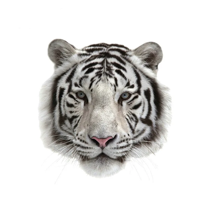 

3D Tiger Clothes Patches DIY Accessory Clothing Deco Washable New Design Badges Heat Transfer Patches