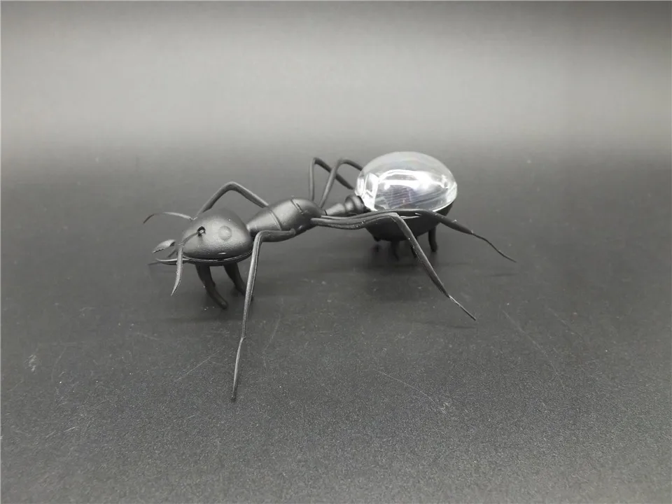 Solar-Ant-Black   (3)