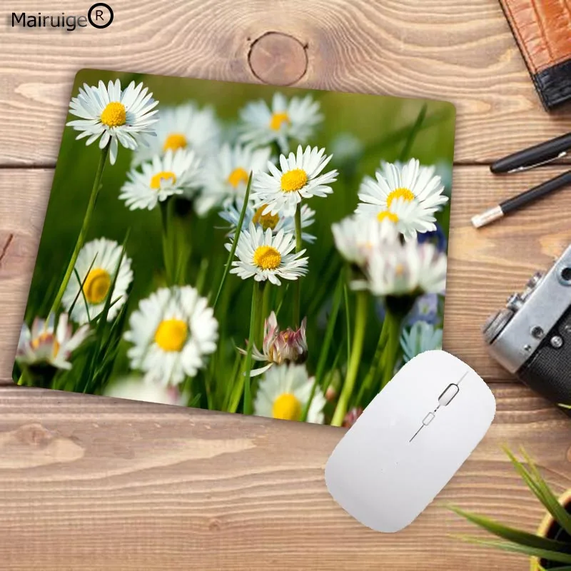 364download-daisy-background-2560x-WTG2001217