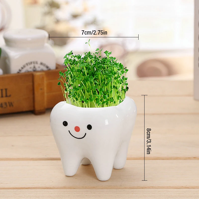 Cute-tooth-pot-vase-creative-ceramic-cartoon-tooth-flower-pot-succulent-flower-pot-home-decoration-crafts (2)