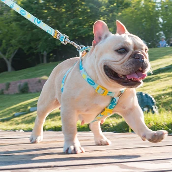 

Method Bucket Tow Rope Dog Chain Dog Sheng Keji Bully Neck Circle Tow Rope Middle And Small Size Dog Breasts Back Tow Rope