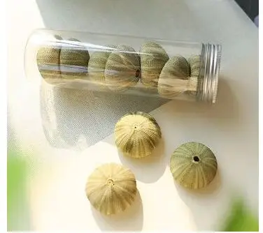 

1 Bottle Natural Small Pink Sea Urchin Bottle Set Natural Shell Conch Beach Wedding Decorate Home Decoration C29849