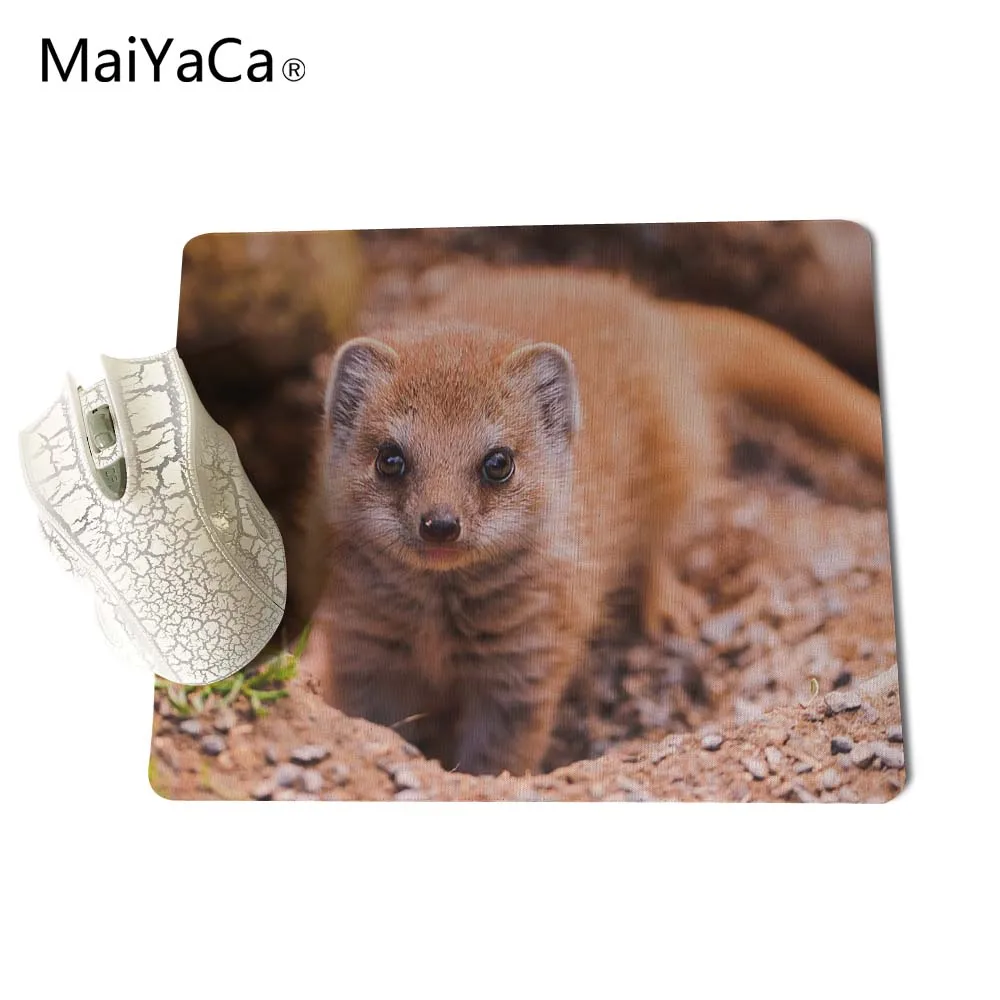 MaiYaCa животные Meerkat лучшая игра Пользовательские Коврики для мыши резиновый коврик 18*22 см и 25*29 см коврики для мыши - Цвет: for Size 25x29cm