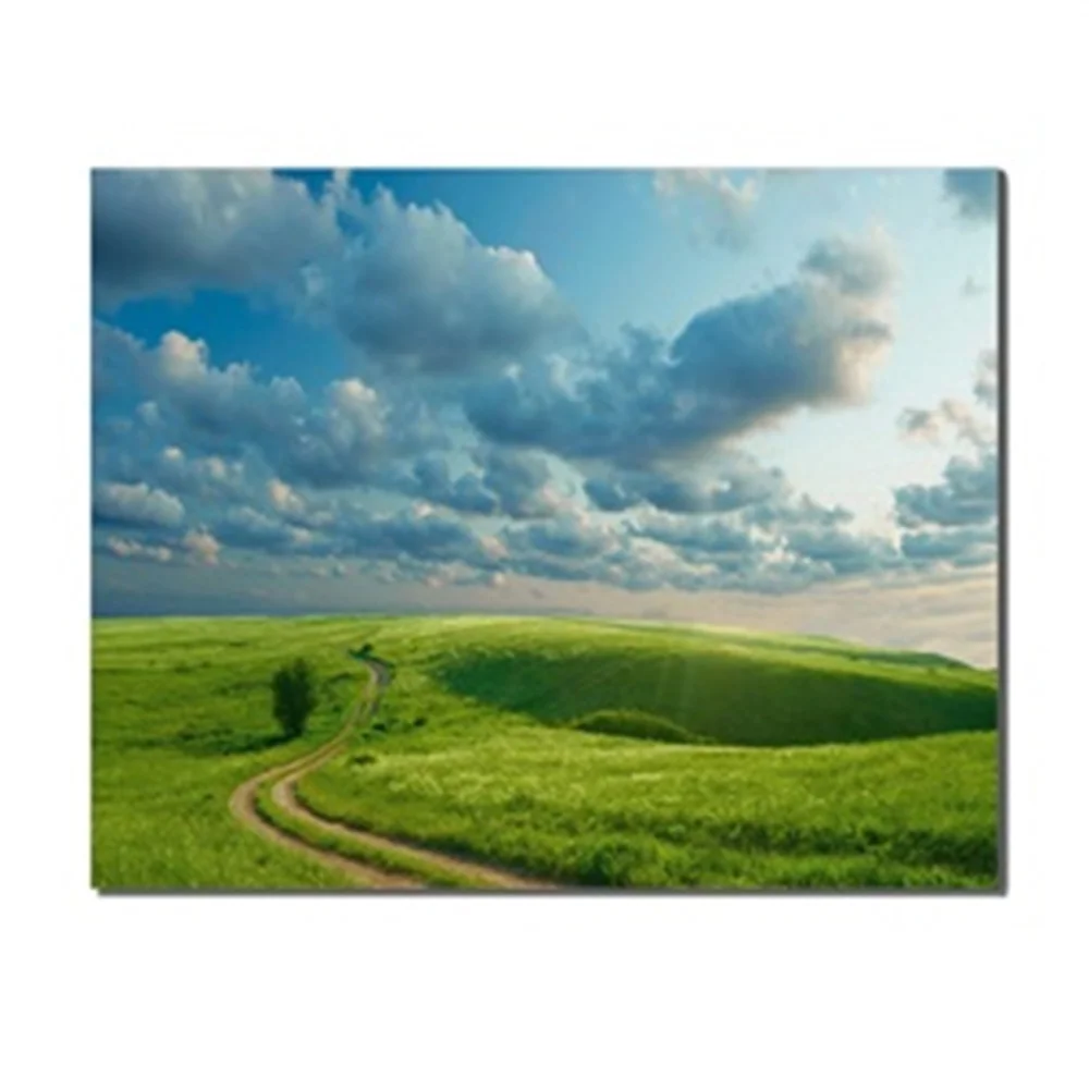 

Natural Landscape Green Grassland Blue Sky Cloud No Frame Abstract Oil Paintings Home Decoration Living Room Bathroom Decor