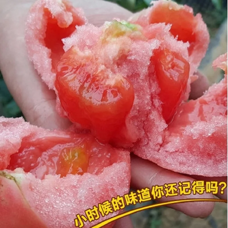 Bunches of bananas Hot Tomato 200pcs Bonsai organic vegetable Bunches of bananas Hot Tomato 200pcs Bonsai organic vegetable