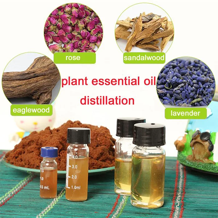 HTB1eaFbdA9WBuNjSspeq6yz5VXaA