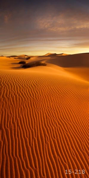 التصوير الخلفيات لحفل زفاف حرق الرمال الرمال الذهبية صورة التصوير خلفية خلفية Aliexpress