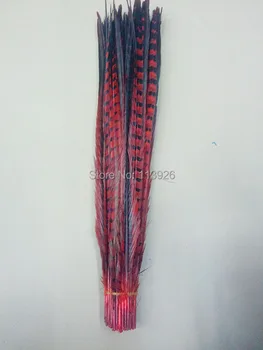 

Hot!100pcs red pheasant feathers 30-35cm/12-14inches Lady Amherst Pheasant Tail Feather Chicken Feather indian feather headdress