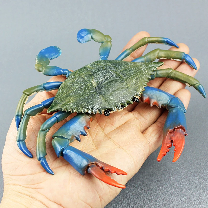 

17cm PVC Blue Crab Realistic Sea Animal Model Solid Figure Ocean Kids Toy Gift