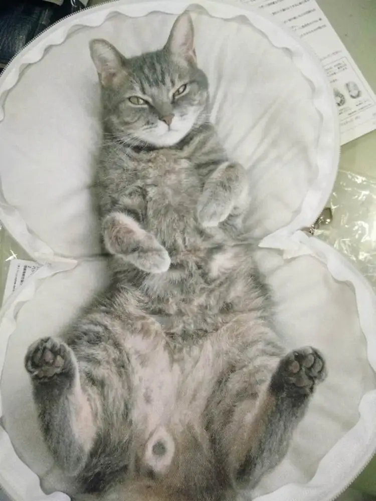 TB27owrao.iyKJjSspdXXbB_pXa_!!0-rate