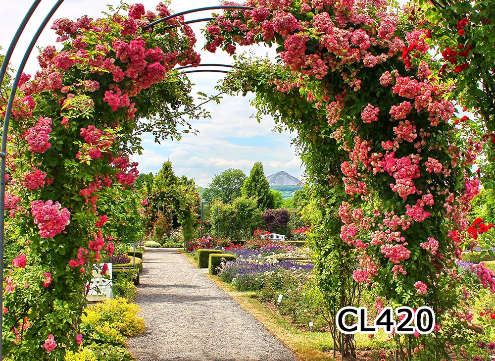 CL420