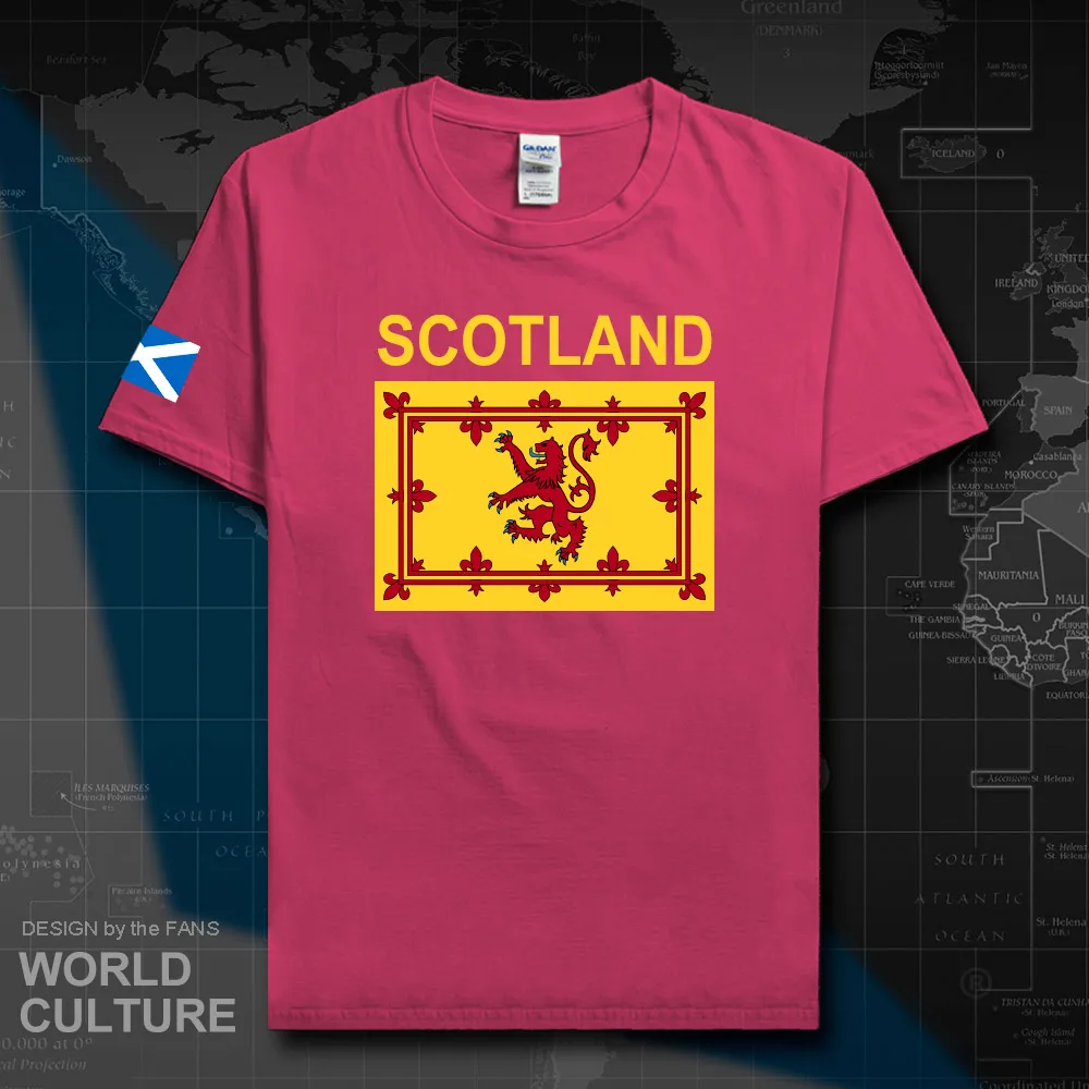 HNat_Scotland20_T01heliconia