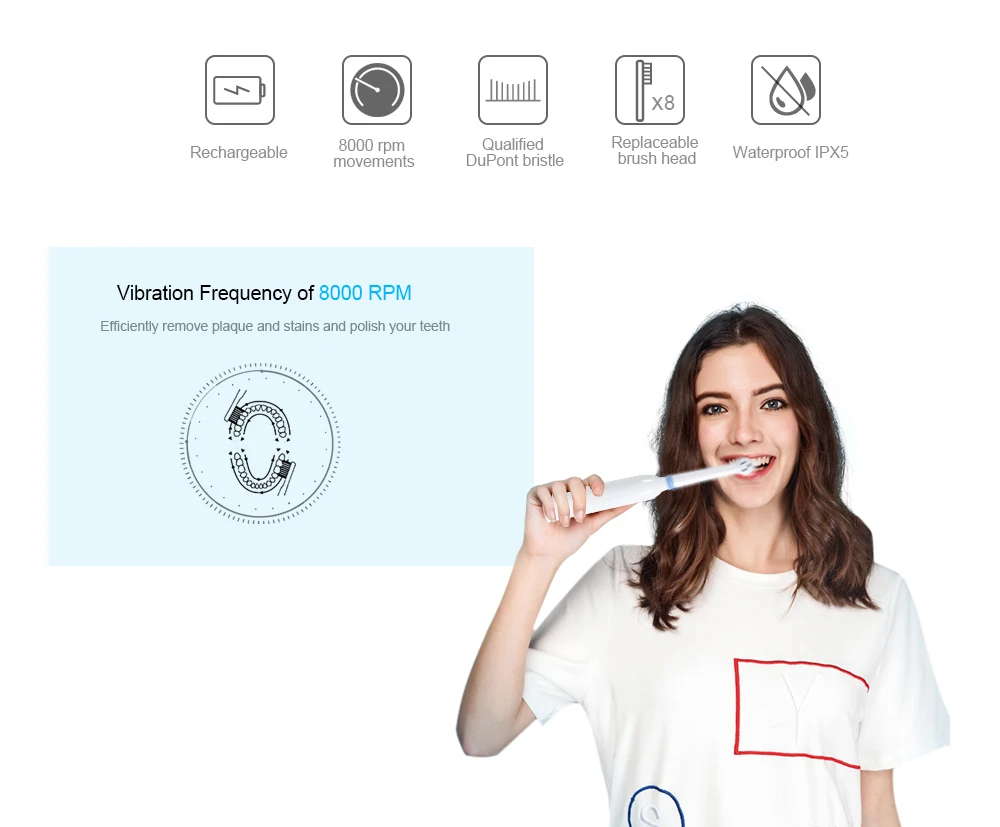 TODO TB - 902 Rechargeable Electric Toothbrush Dental Safeguards Oral Health Care Cleaning Tools with Replaceable Brush Head