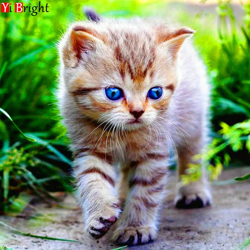 

Diamond Embroidery cat animal DIY Needlework 5D Diamond Painting Cross Stitch Full Drill Mosaic Sticker Decorative painting XY1