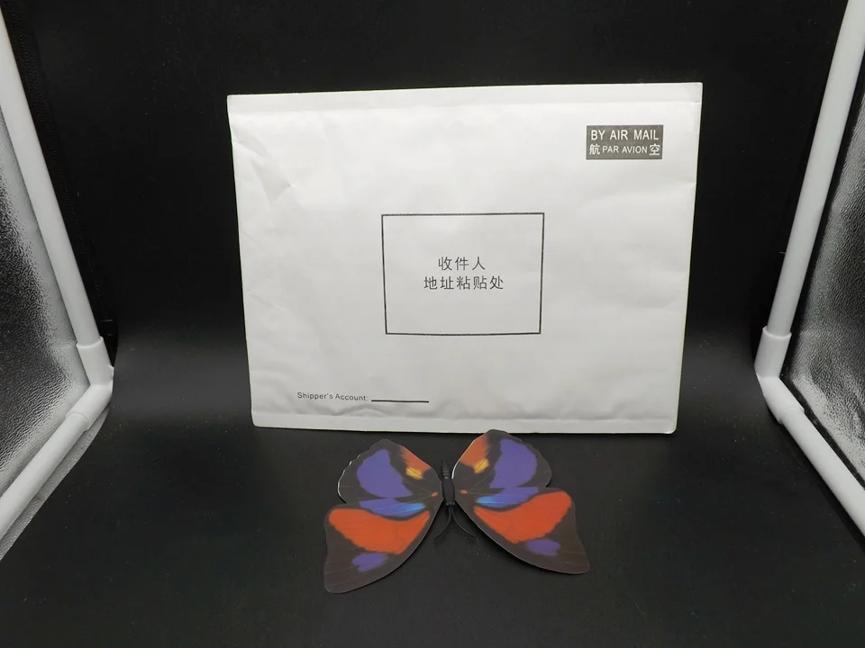 I240-Butterfly (13)