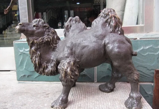 

150401 S0446 13"Signed Bronze Copper Statue Art desert camel Sculpture
