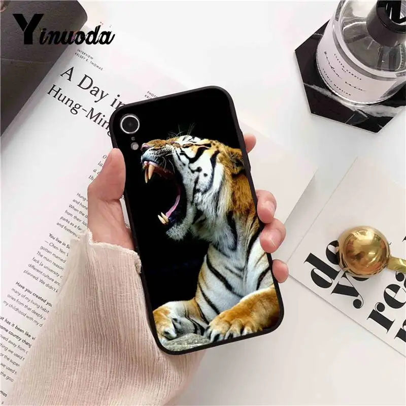 Cool Tiger Owl Cat Cartoon