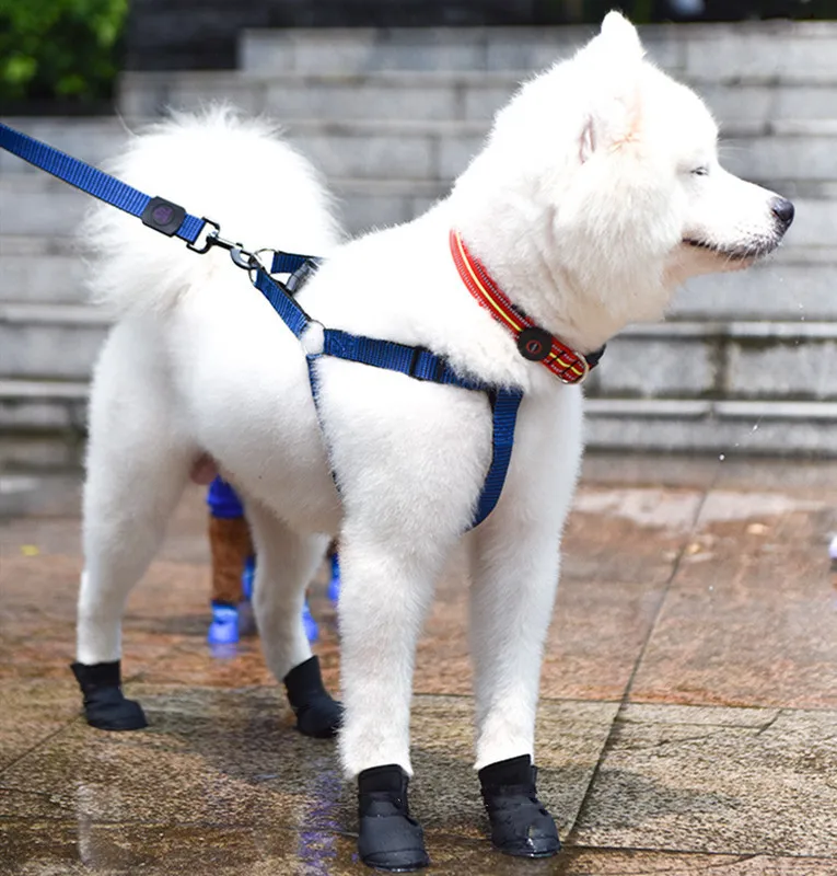 Hot The pet dog boots with four silicone antiskid shoes wear waterproof dogs shoes candy colored pet rainy days appear essential