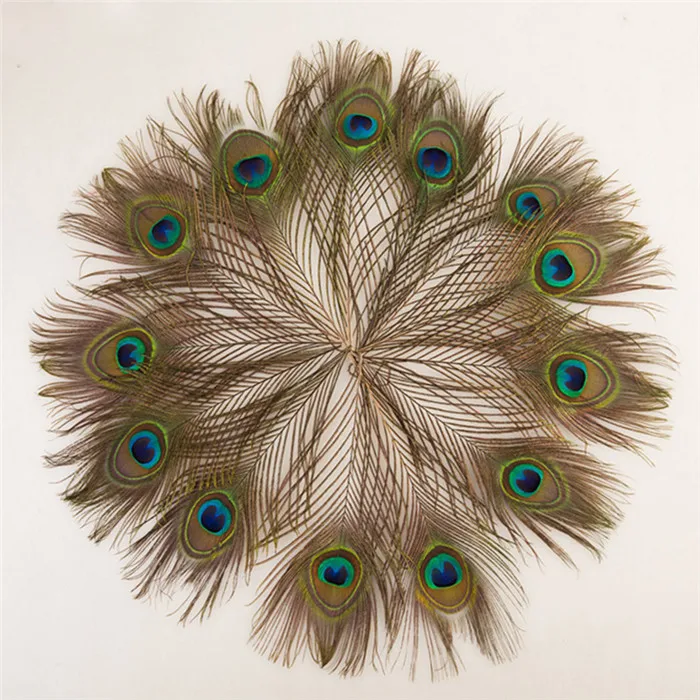 25-30cm natural peacock feathers 4