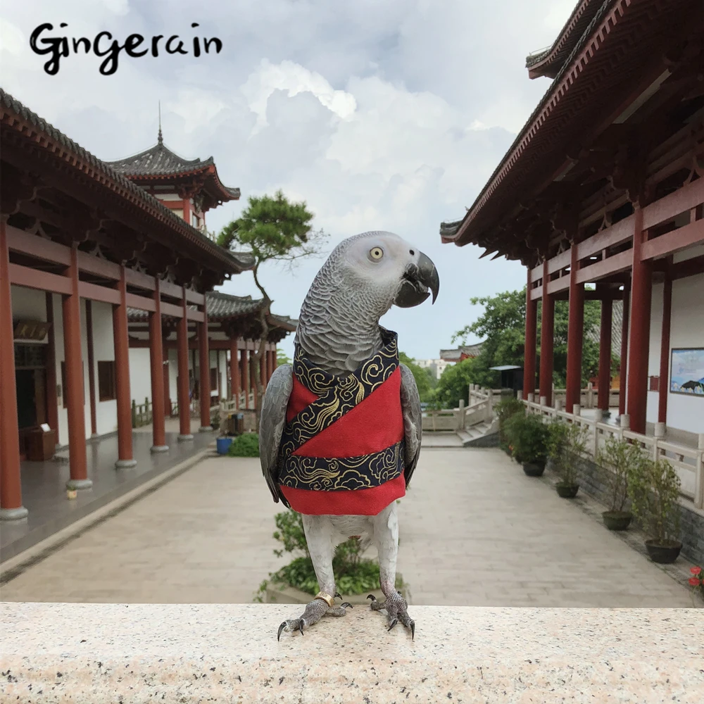 Gingerain одежда с птицами попугай одежда Han костюм genteel оригинальная ручная работа на заказ одежда с птицами Han костюм genteel