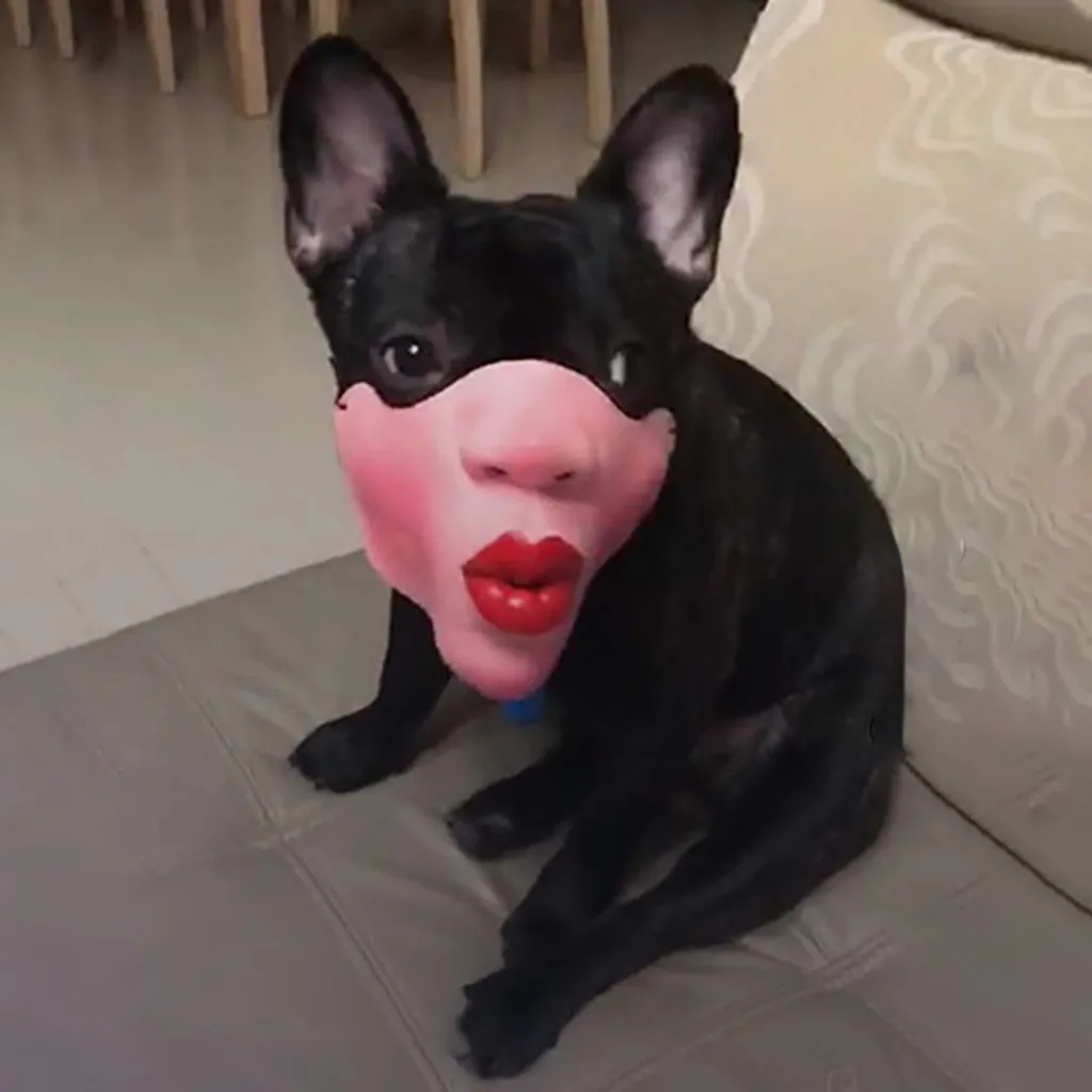 Забавная забавная маска, регулирующая мордочку для собак, новые большие губы, пластиковая крепкая мордочка для собак, противоукусная маска для рта для собак, кошек, 50