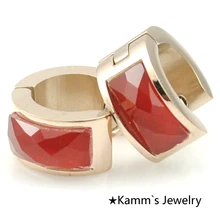 Красный женские мужские панк акриловые обручи розовые серьги золотого цвета 316L из нержавеющей стали ювелирные драгоценные камни серьги KE431