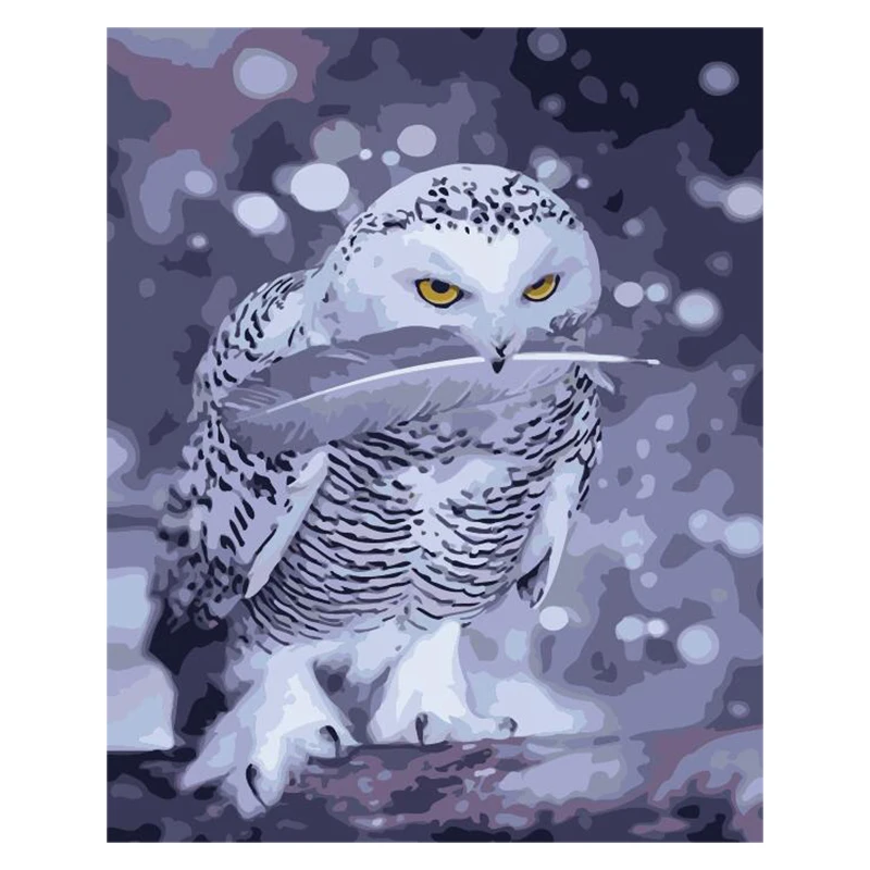 

white owl Animal DIY Digital Painting By Numbers Modern Wall Art Canvas Painting Unique Gift Home Decor 40x50cm