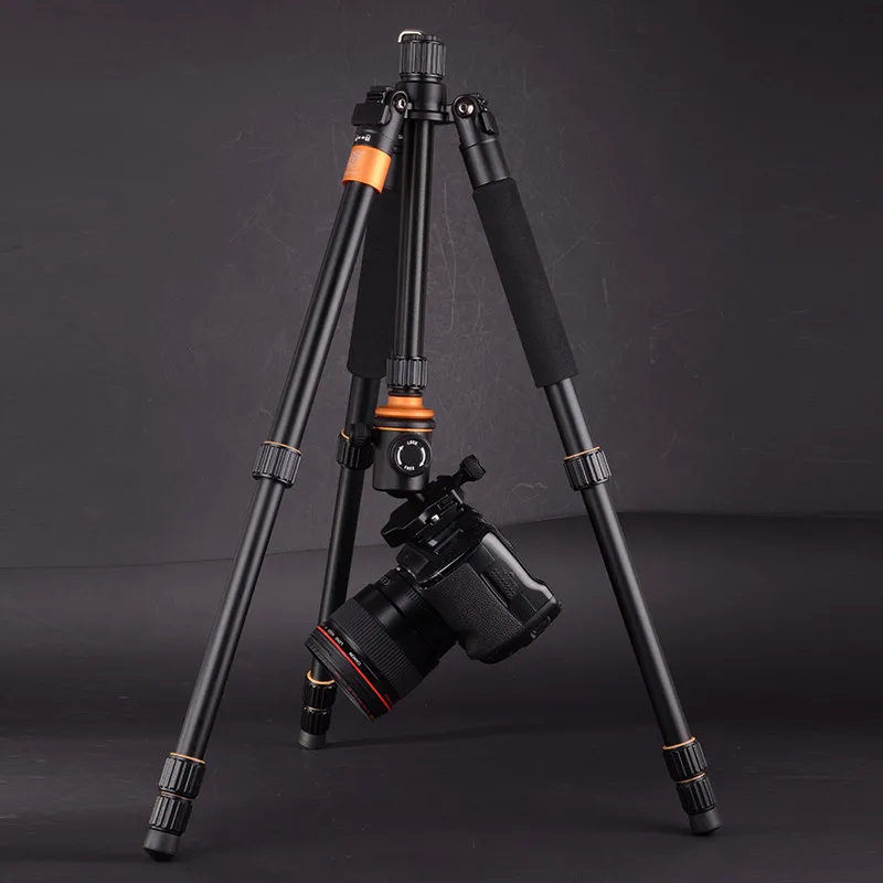 HTB105LfJVXXXXX6XFXXq6xXFXXXF