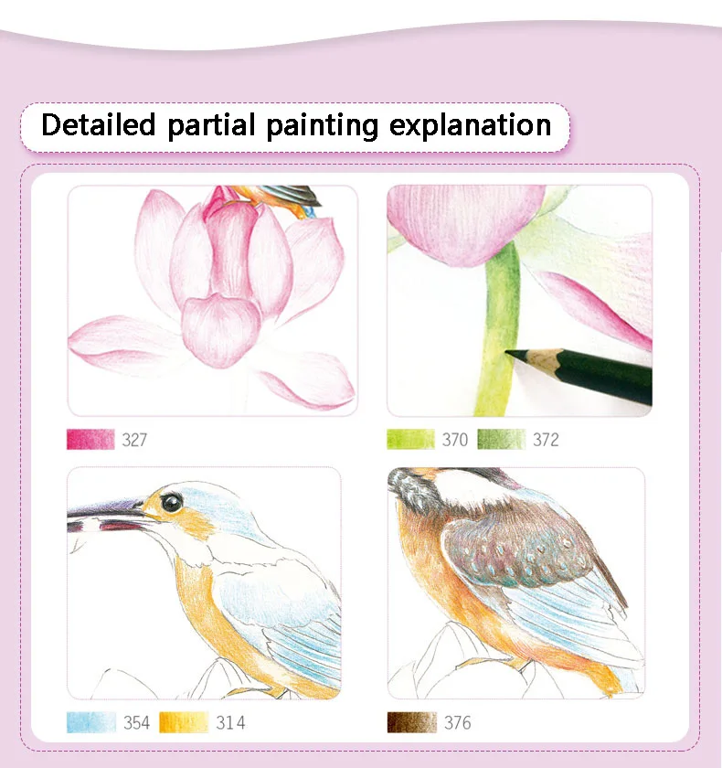 Álbum de Zero Base da Flor do Pássaro Cor da Flor e do Pássaro Clássico Chumbo Tutorial Livro Mão-pintado Crianças Adulto Coloração 2019 8 Base Da Flor Do Pássaro Mão-pintado Crianças Adulto Coloração livro