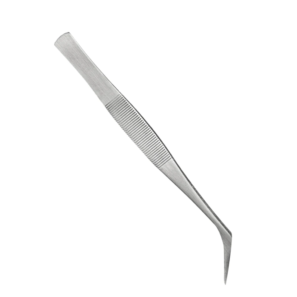 Stainless Steel Curved Pointed Tweezer For Eyelash Extension Precision Lash Adhesive Makeup Tool