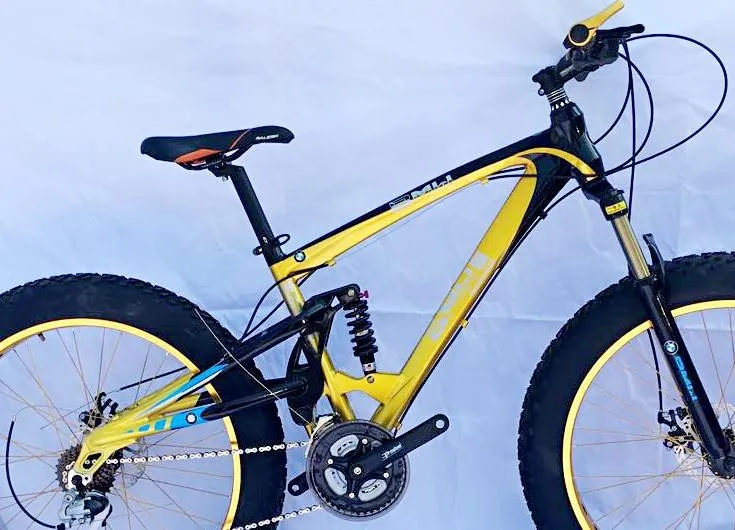 Best Aluminum alloy  DH  Snow/beach bike  frame, Downhill  26*17inch MTB frame ,for 26*4.0 tires, Fat bike soft-tail  frame 1