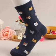10 пар/лот Fedex Быстрая 5 видов цветов осенне-зимние женские носки животного кот Прекрасный коттоновые носки
