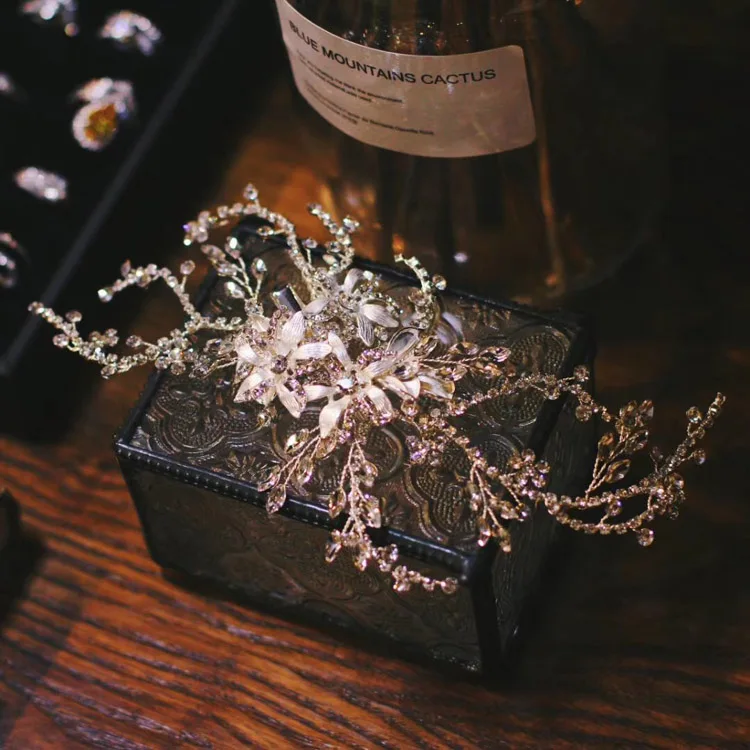 AJ6116 hair claws (6)