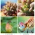 Aliexpress.com : Buy Mobile Phone Camera Lens 4K HD