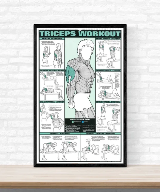 workout chart muscle fitness