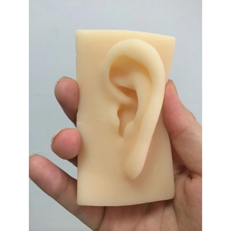 

ear model life size silicone ear acupuncture practice model simulation model of the ear right and left type