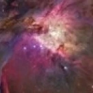 Close-up of Hubble galaxy with iris and tulip flowers Poster Print (20 x 5)