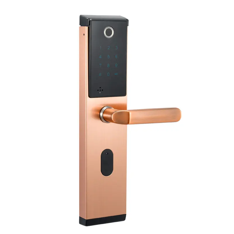 CYPATLIC электронный биометрический дверной замок без ключа, цифровой дверной замок для умного дома, Противоугонный интеллектуальный замок - Цвет: Copper