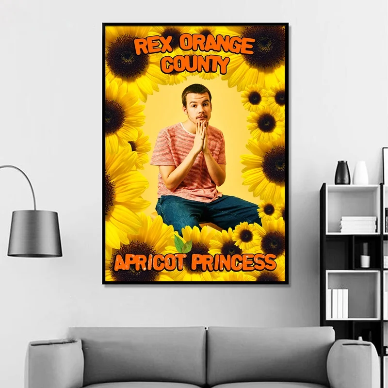 Rex Orange County Apricot Princess Album Pop Music Cover Poster Canvas Prints Wall Art Home Decor for Living Room image 3