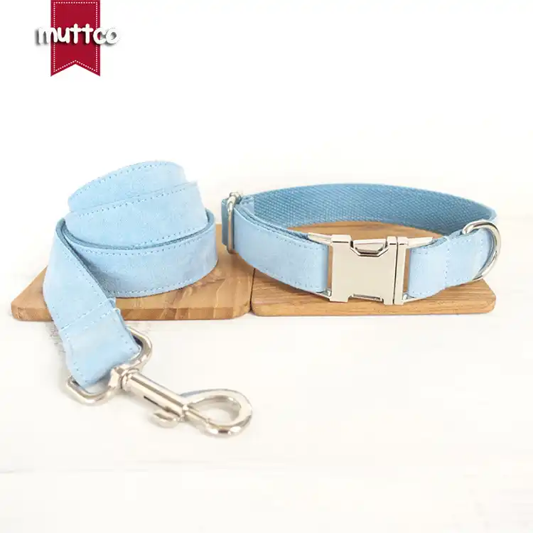 light blue puppy collar