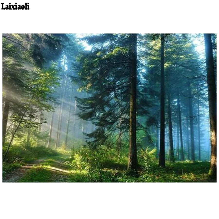 

Diamond Embroidery winter view 5d diamond painting Cross Stitch,Diamond Mosaic,home Decoration,nature spring forest 3d picture