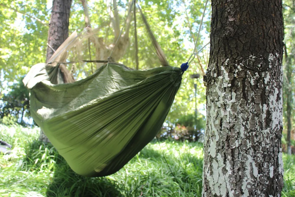 Hammocks Mosquito  (2)