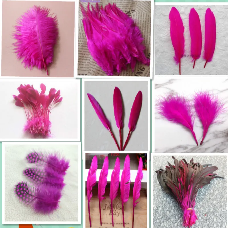 

20pcs15 kinds Mei red of Beautiful Rooster feathers 5-30cm pheasant chicken plume for DIY Party Craft decoration