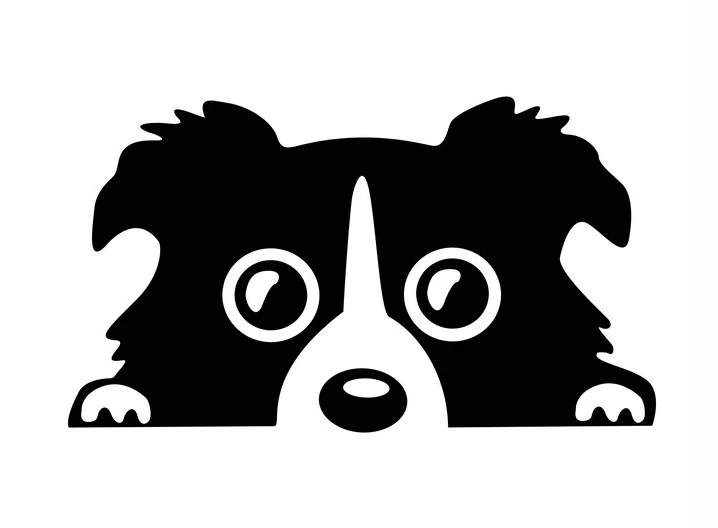 Reflective car stickers car stickers decorative climbing dog poodle peeking Pachuang body decals